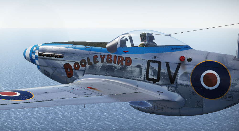 p-51.png